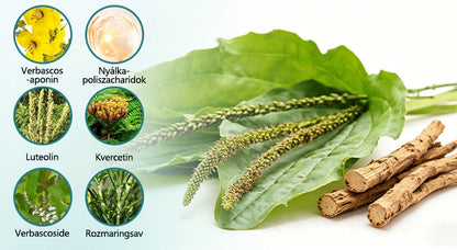 🌿Laleia® Útifű-Mályva Légzésnyugtató Növényi Spray