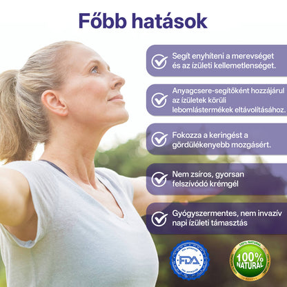 🔥🔥Laleia® Ezüstionos hézagjavító spray-🛒
