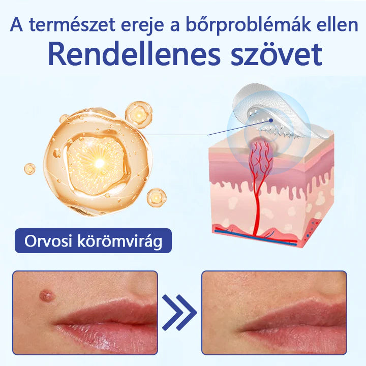 🔥 Laleia® DermalRepair 2 az 1-ben mikrotűs és hidrokolloid tapasz 💉